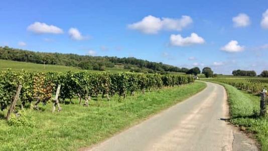 Frankrijk Binnendoor Wijn Roadtrip Loire
