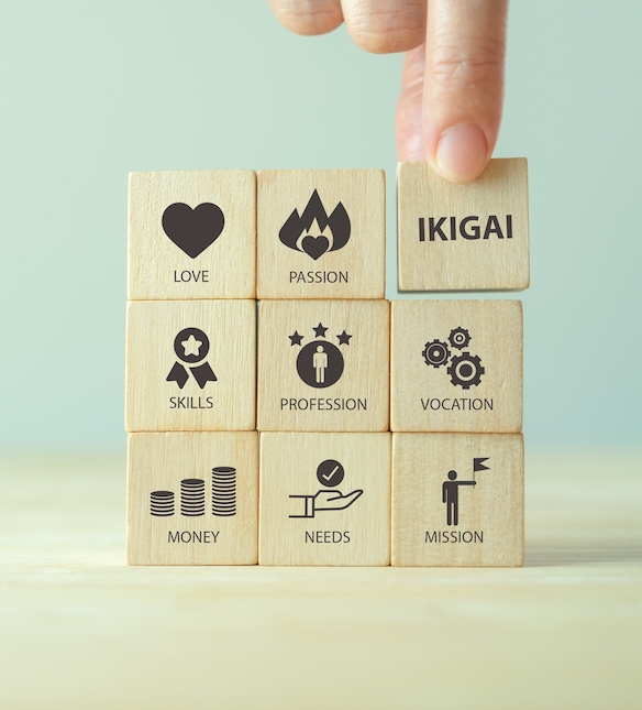 Vind je ikigai