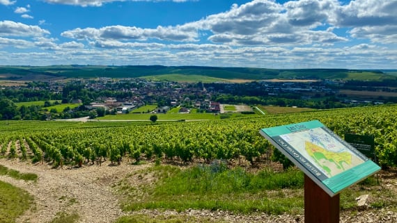 Van bierdrinker tot wijndrinker door Chablis