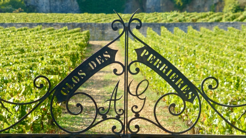 Fietsen bij door de wijngaarden van de C&ocirc;te-d&rsquo;Or