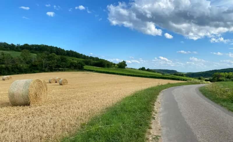 Nazomer in Frankrijk en nazomertips... 