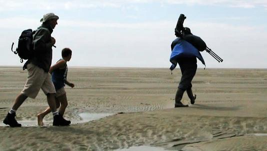 Met een gids naar de zeehonden in de Baai van de Somme