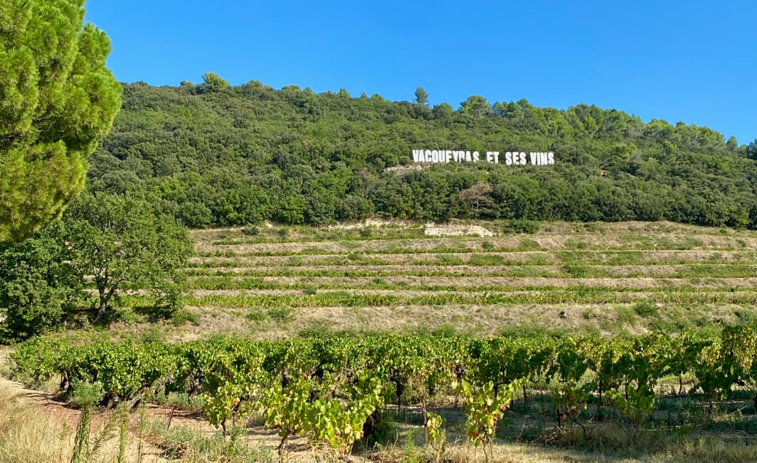 Vakantie in de Vaucluse: wandelen, fietsen en wijndorpen