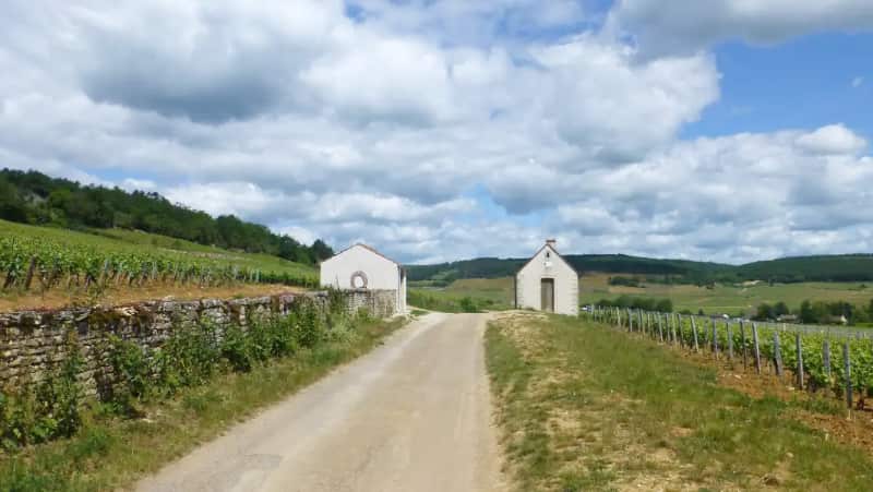 wijndorp in de Bourgogne met een bijzondere wijnboer.