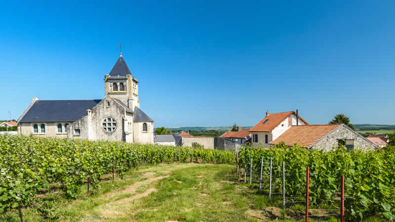 Op nog geen 350 km van Maastricht: de Champagnestreek