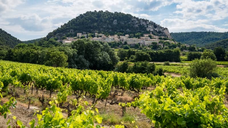 Vakantie in de Vaucluse: wandelen, fietsen en wijndorpen