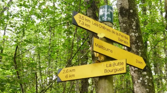 Wat goede wandelschoenen kunnen voorkomen
