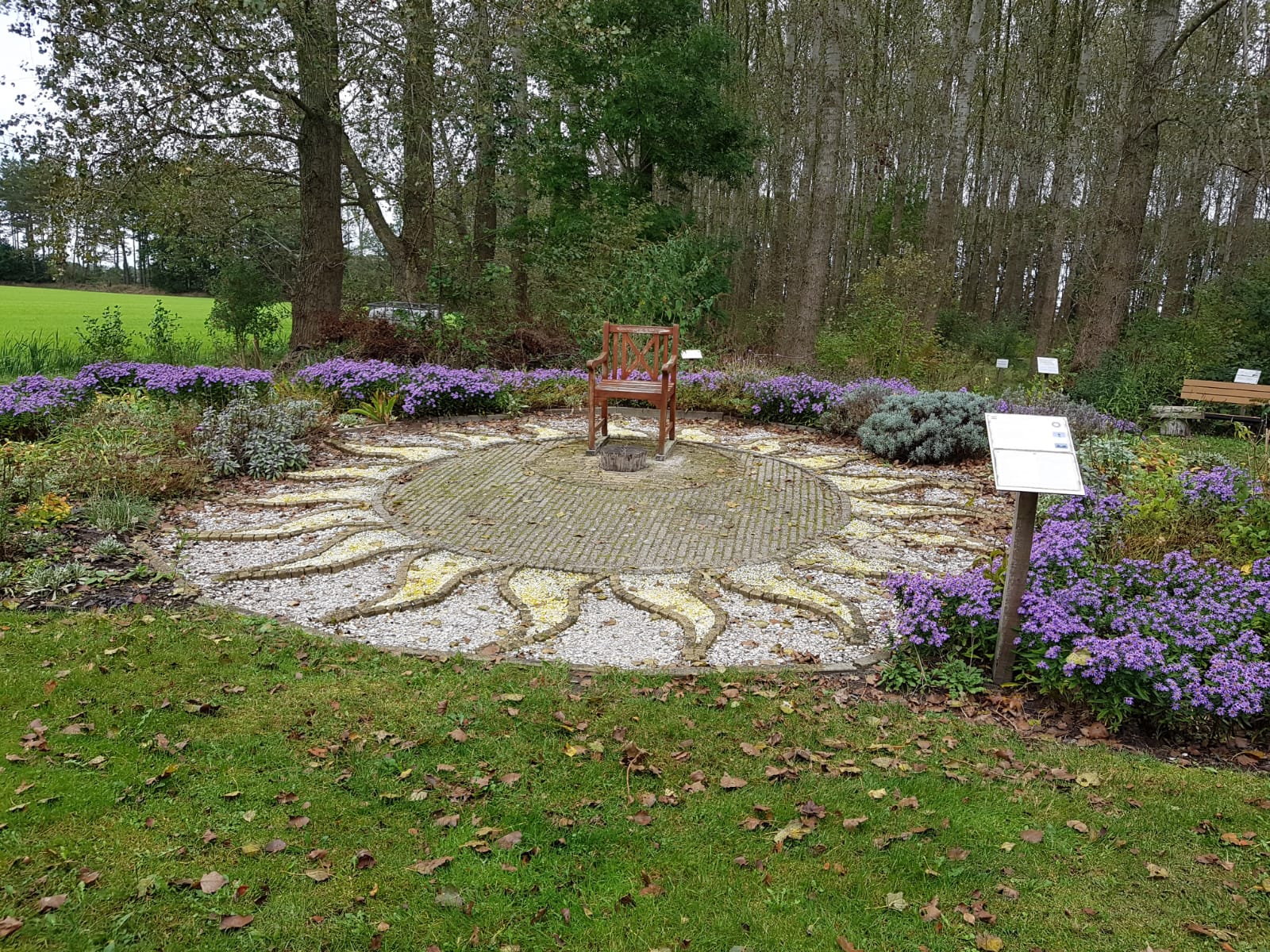 Voorhoofdchakra met herfstasters