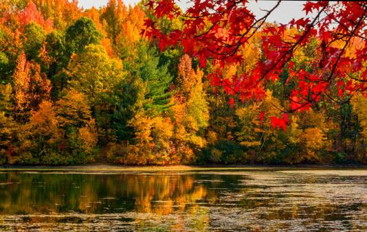 Herfstlandschap