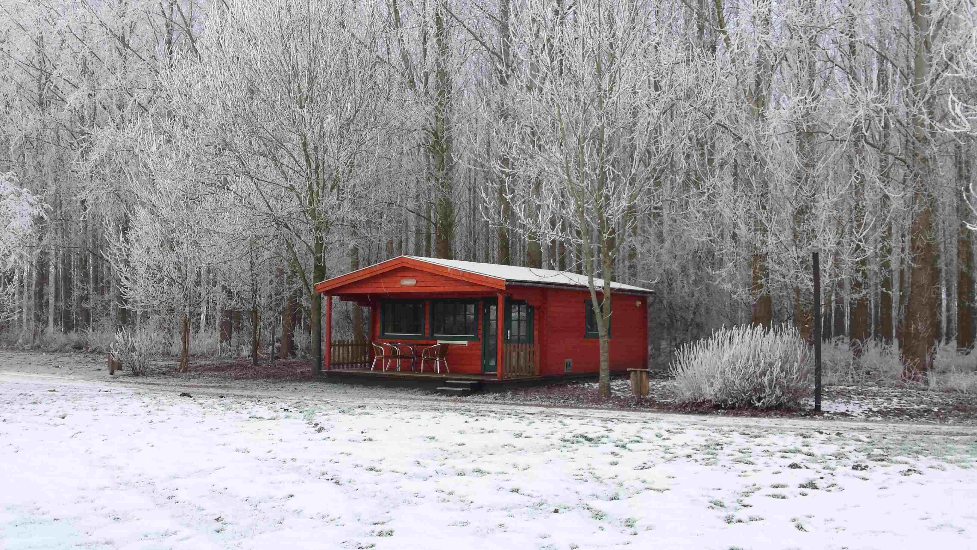 Pegasus winter
