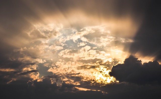 Afbeelding: Zonlicht
