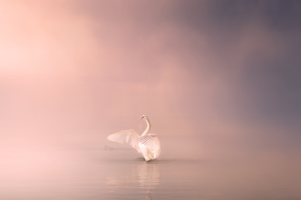 Afbeelding: Zonlicht
