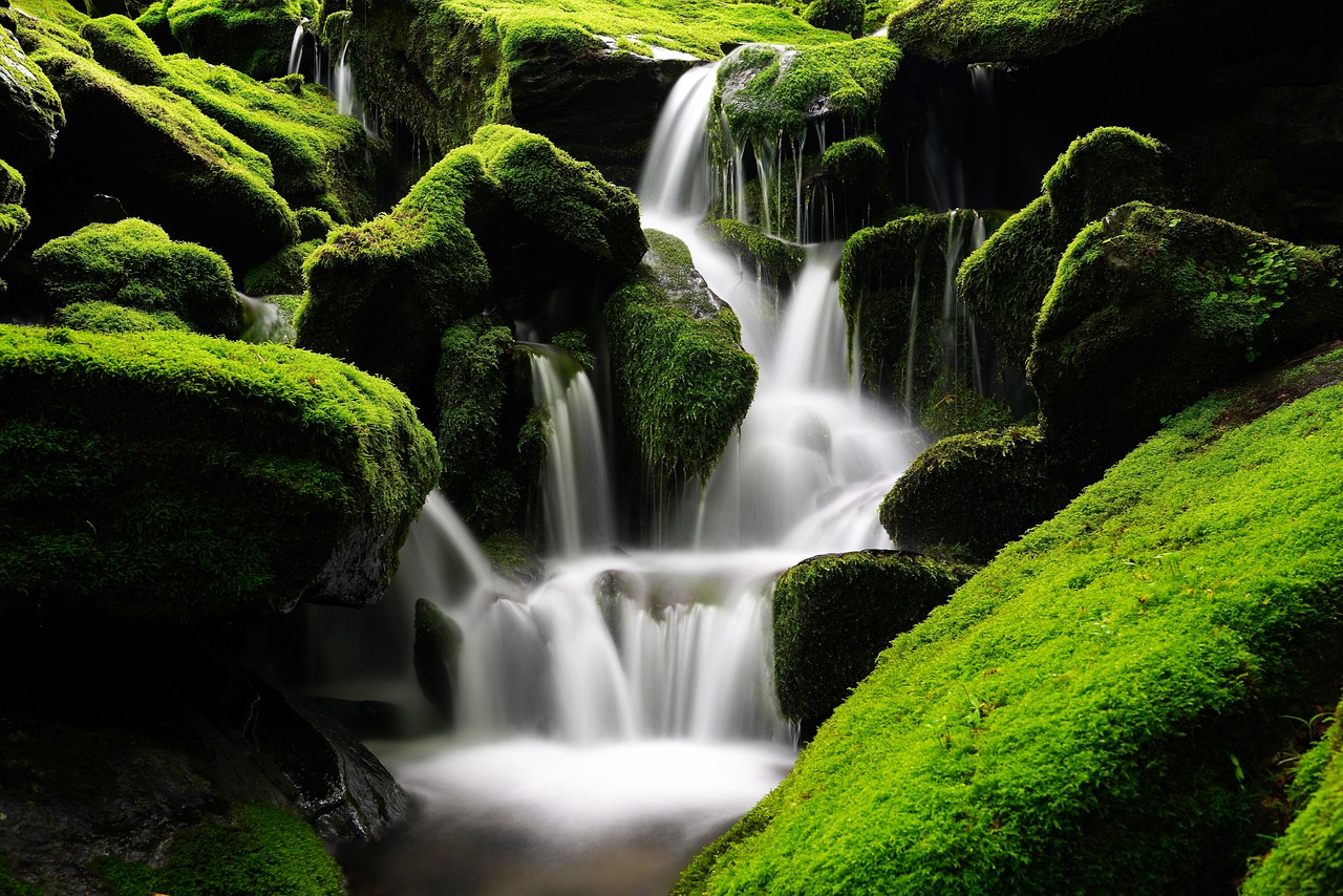 Afbeelding: De helende Natuur