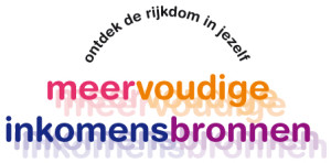 Meervoudige inkomensbronnen (betaling in 2 termijnen)