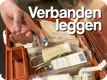 Masterclass 'Verbanden leggen'