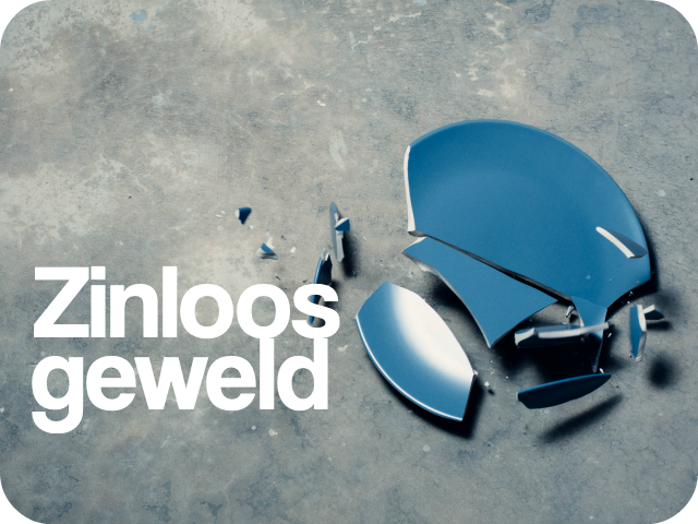 Masterclass 'Zinloos geweld'