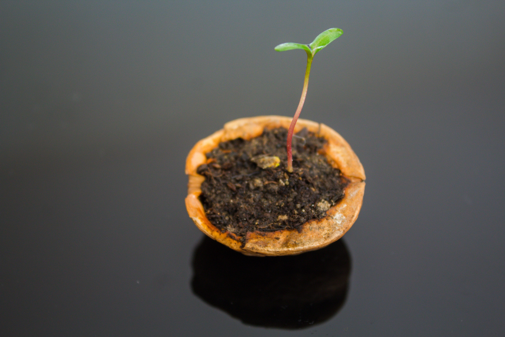 3P Faciliteren in een notendop - de essentie van moeiteloos 3P gesprekken voeren