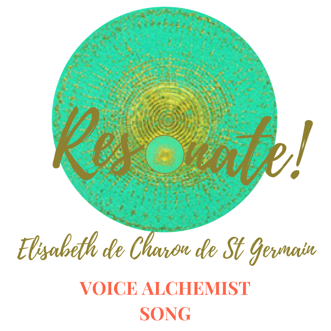 Voice Alchemy Song with a personal session via Zoom