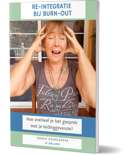 Eboek: Re-integratie bij burn-out