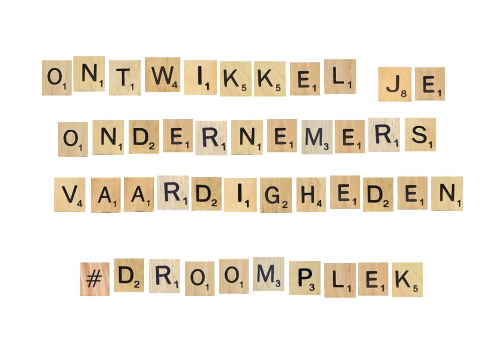 Online oriëntatietraining 'Ontwikkel je Ondernemervaardigheden als DroomplekOndernemer - ACTIE