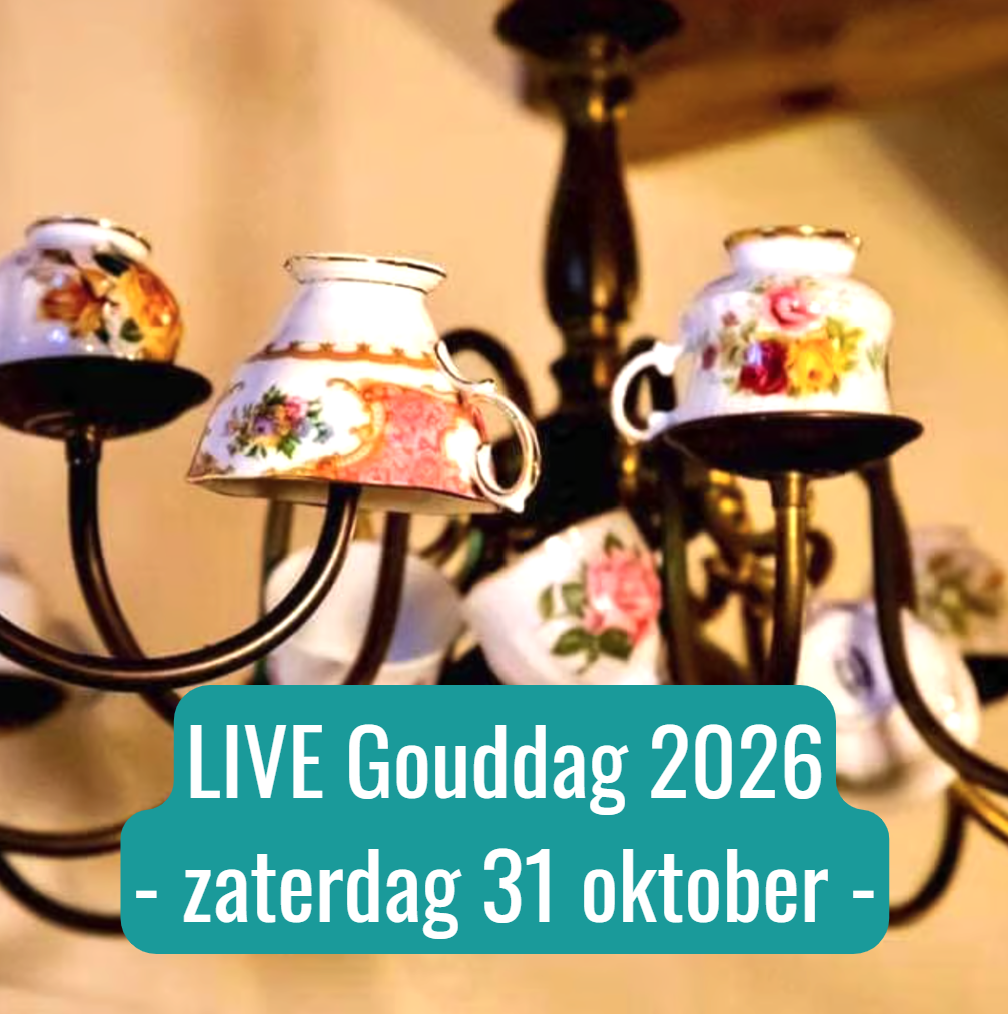 Deelname LIVE DroomplekAcademie Gouddag - 31 oktober 2026