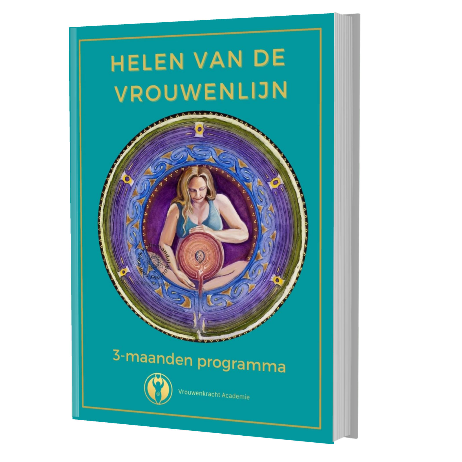 43. Drie maanden programma: Helen van je vrouwenlijn - 3 termijnen