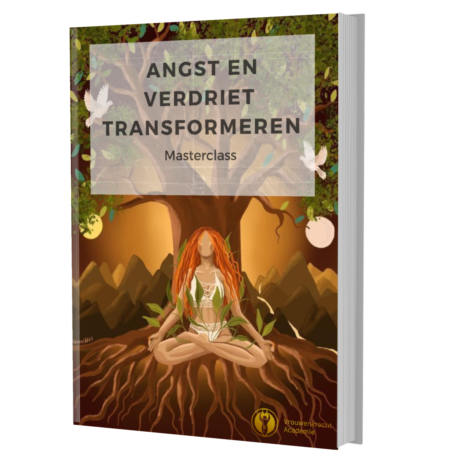 62. Masterclass - Angst en verdriet transformeren