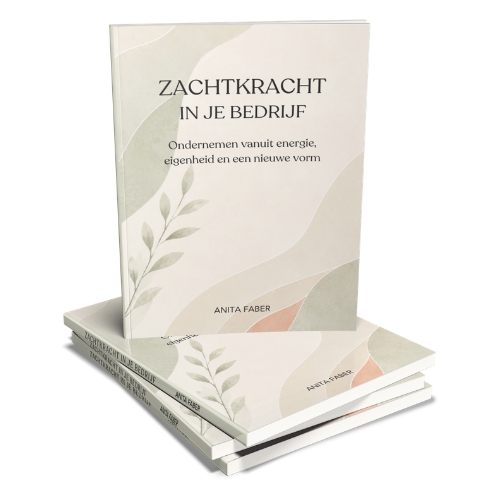 Boek Zachtkracht in je bedrijf