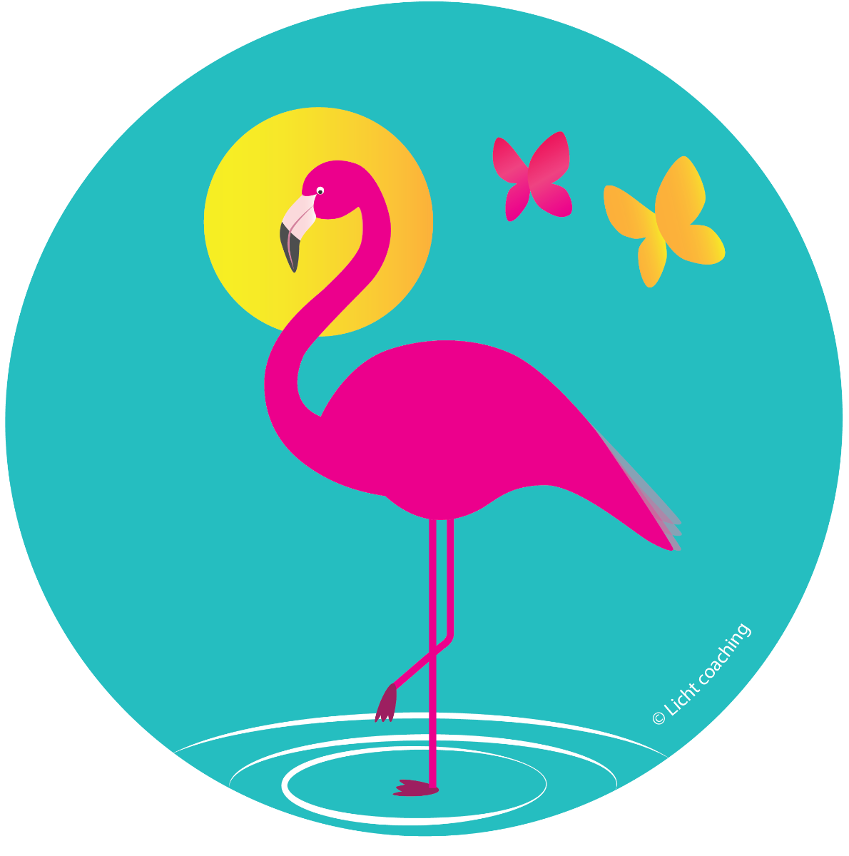 Flawmingo - je betaalt in 2 keer 