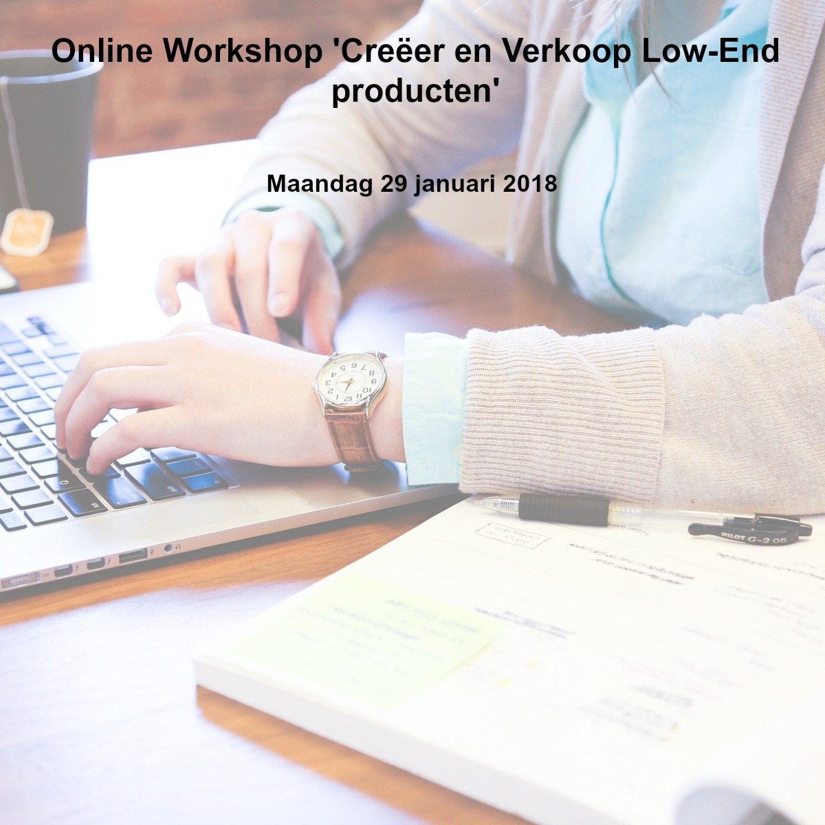 Online Workshop 'Creëer en Verkoop Low-End producten'