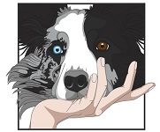 Jezelf zien door de ogen van een hond 1-op-1 traject - termijnbetaling