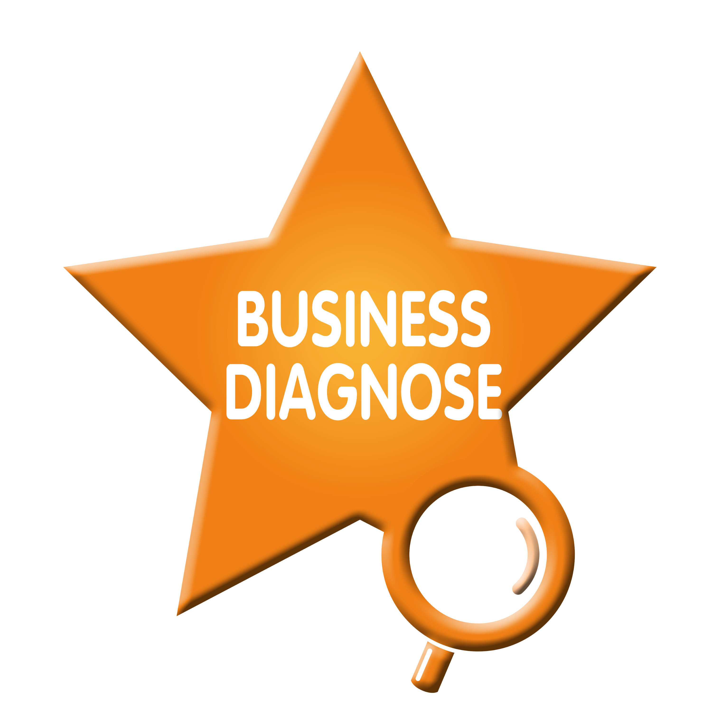 Business Diagnose in 2 termijnen