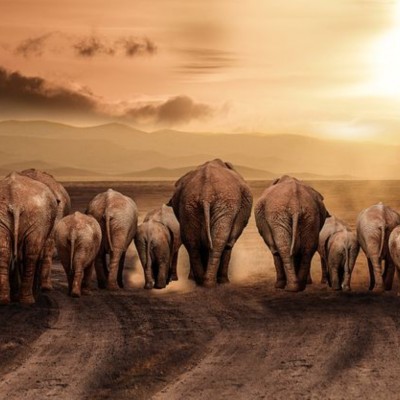 Ervaringsdag Systemisch werk 2026 oktober 19