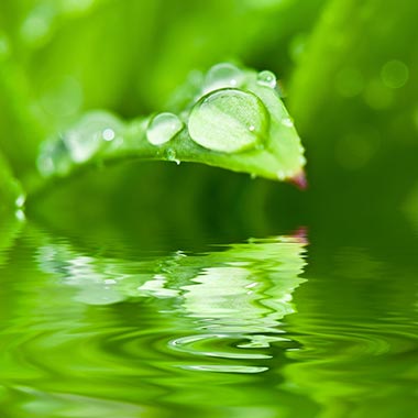 Nascholing Cranio en Je Bekken 2026 mei 28