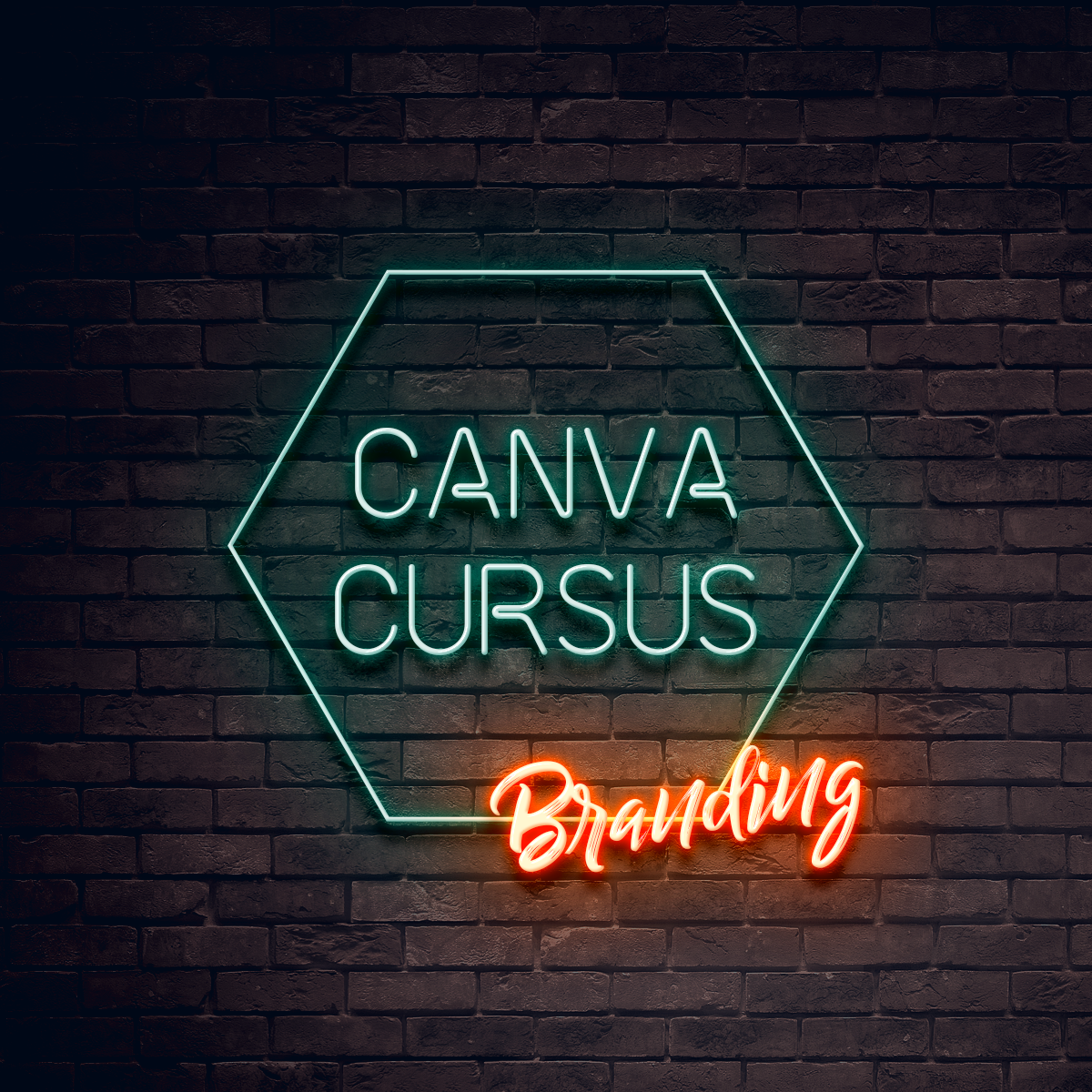 Canva Cursus - Branding