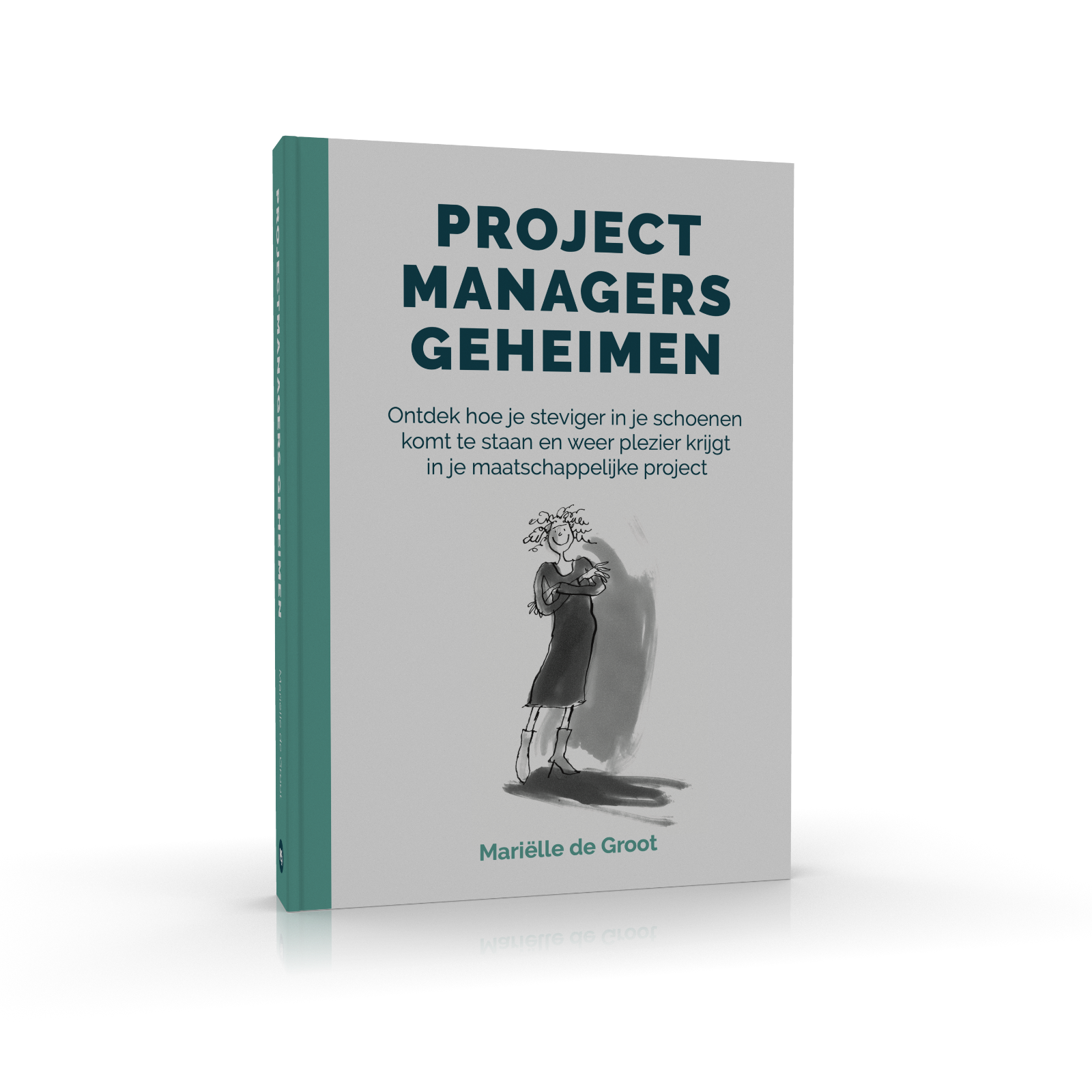 E-book Projectmanagers Geheimen