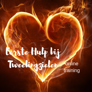 Online Training Chakra Healing Compleet