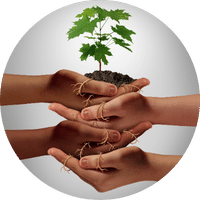 Content Community MEI 2024 abonnement