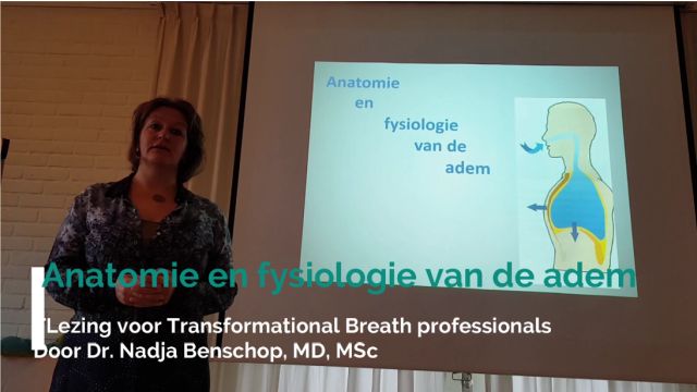 Training anatomie en fysiologie van de adem