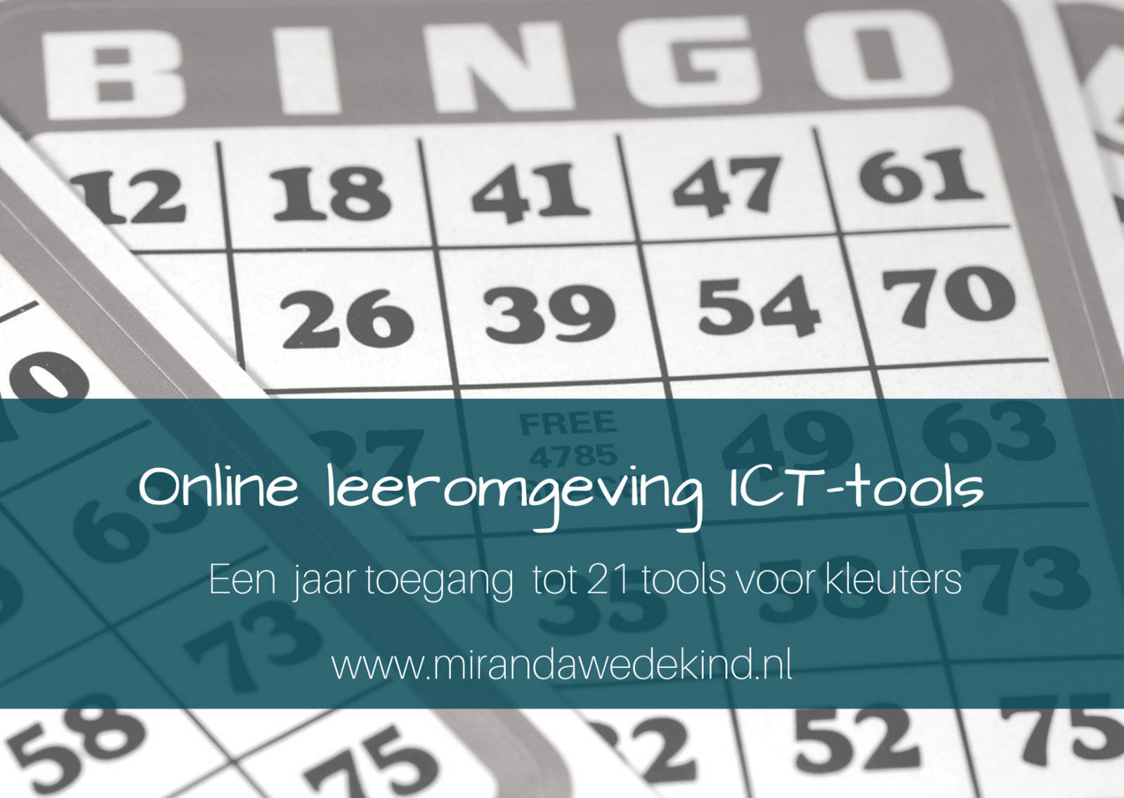Online leeromgeving ICT-tools