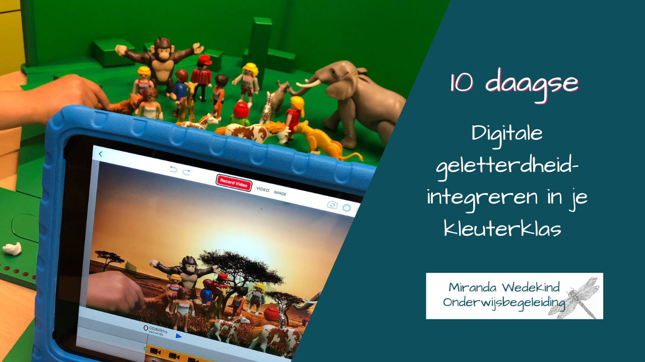 Online workshop 10-daagse Digitale geletterdheid