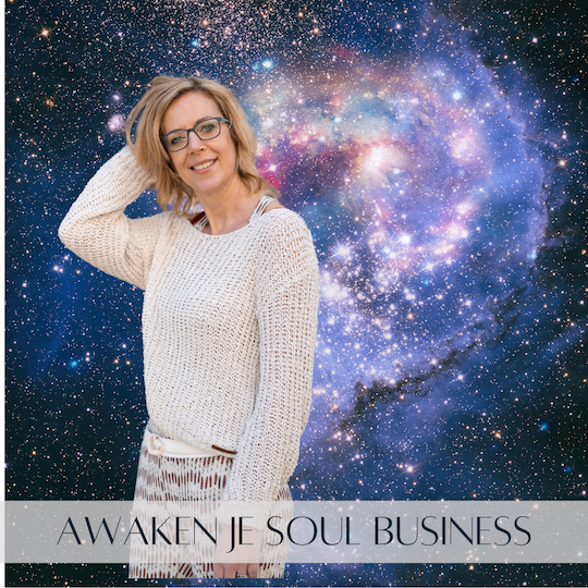 Awaken je Soul Business - 44€