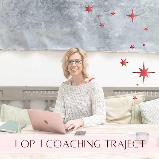 90 dagen 1 op 1 coaching traject naar jouw winstgevende online training