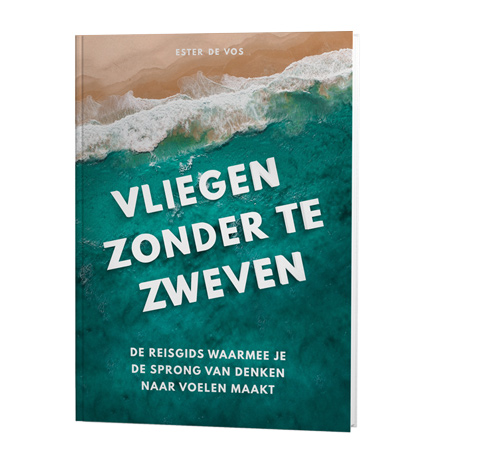Boek 'Vliegen zonder te zweven'