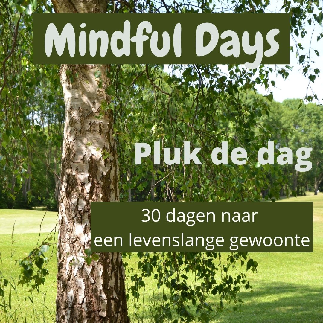 Mindful Days - Pluk de dag - 30 dagen