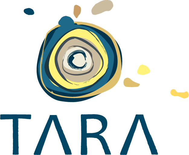TARA Workshop – De Eerste Beweging, 19 september 2025
