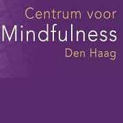 8610 [Begeleide intervisie VGCT] Start 25 september 2026