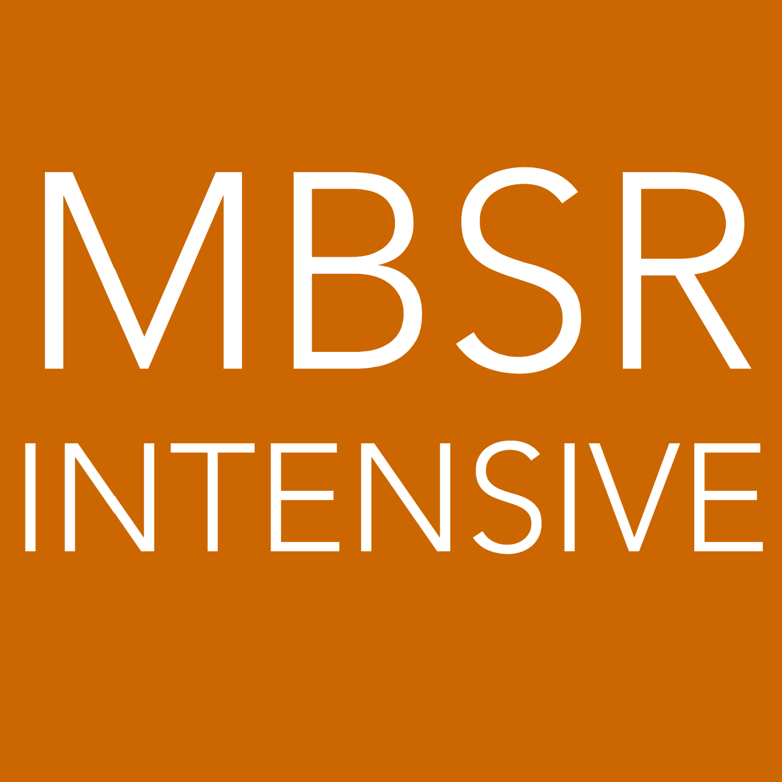 8200 [MF-1 Intensive] Start 16 augustus 2027 - pr