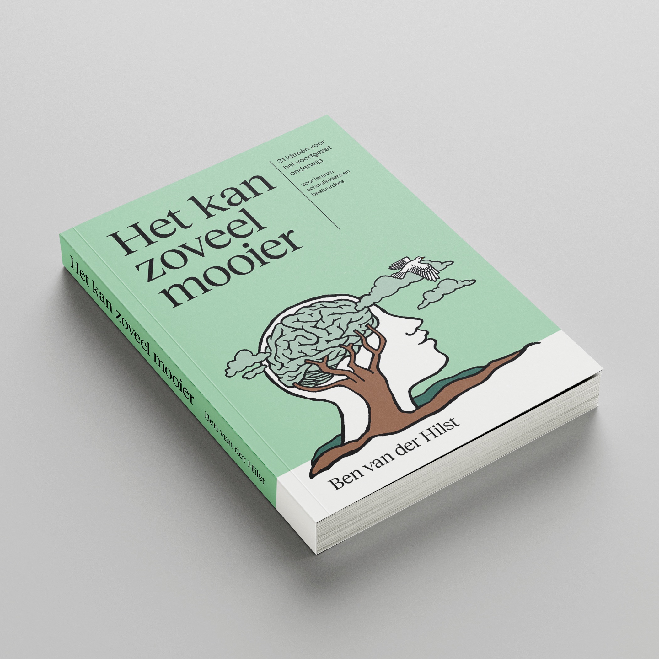 Boek: Het kan zoveel mooier