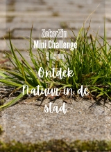 Mini Challenge Ontdek natuur in de stad